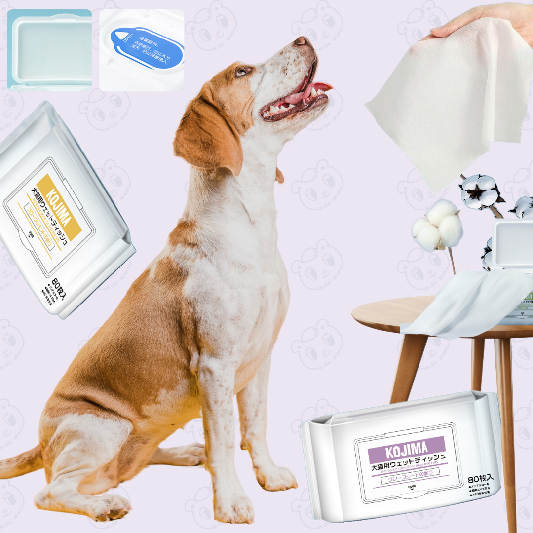 Kojima Pet Wipes