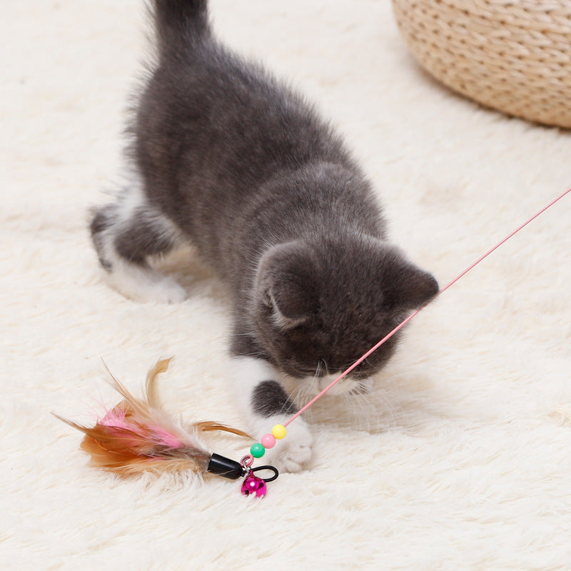 Cat curiously poking Feather Attachment of Cat Teaser