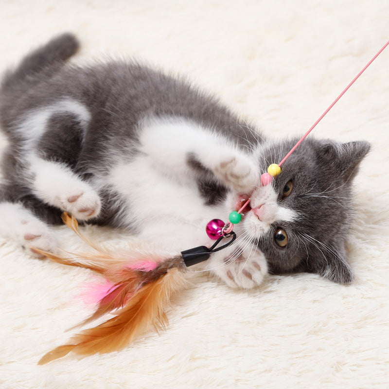 Cat laying on side curiously grabbing onto feather attachment of Cat Teaser and  not letting go