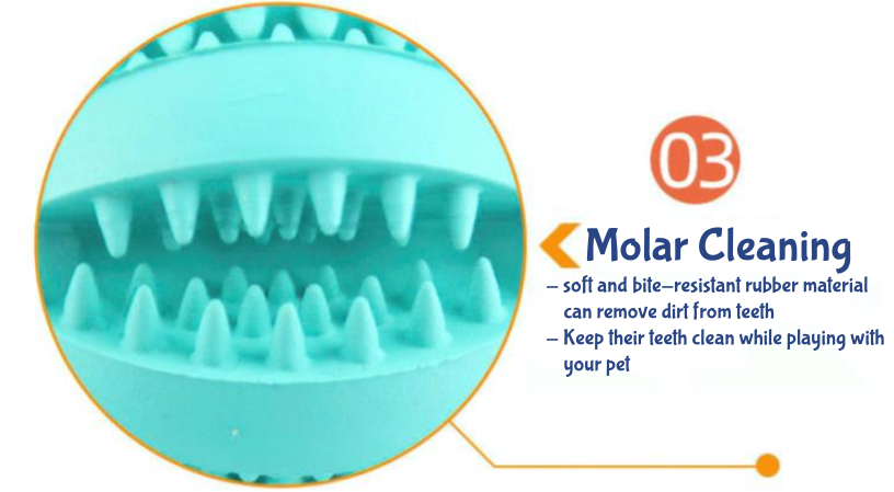 Jagged teeth in cracks can help in dog molar cleaning 