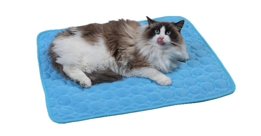 Cat Lying comfortably on Pet Mat