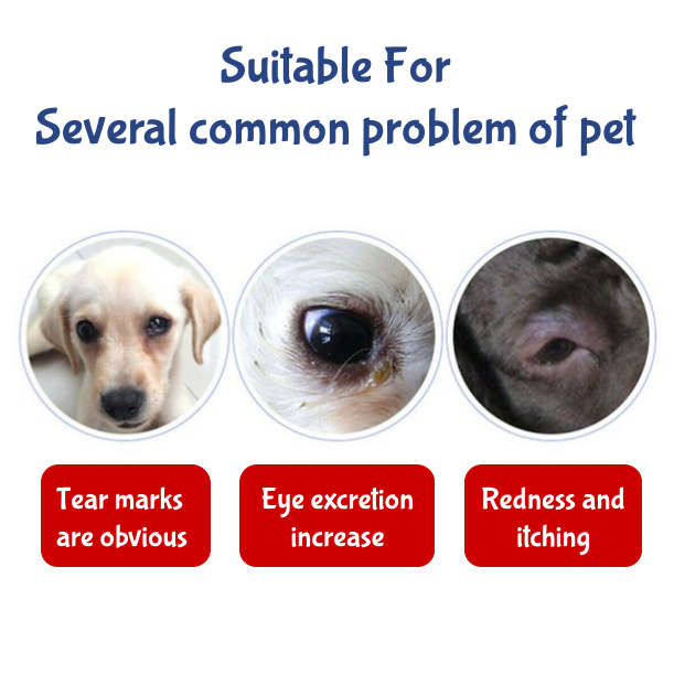 Use cases for the Pet Eye Wipes. Suitable for obvious Tear Marks, Eye Excretions or Redness and itching