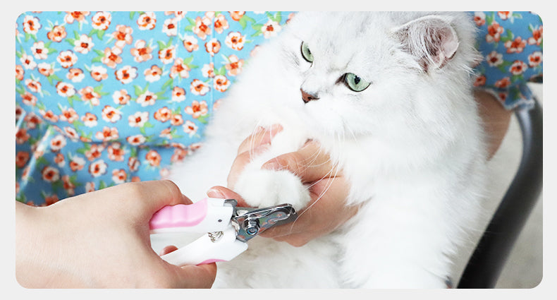 Cat enjoying nails getting trimmed