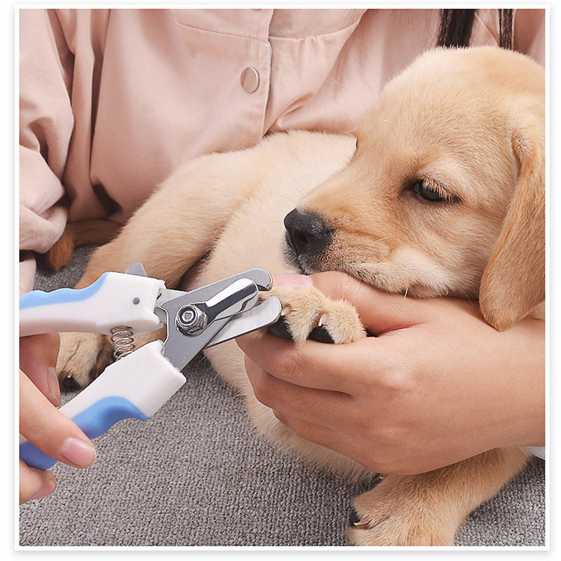 Dog enjoying nails getting trimmed 