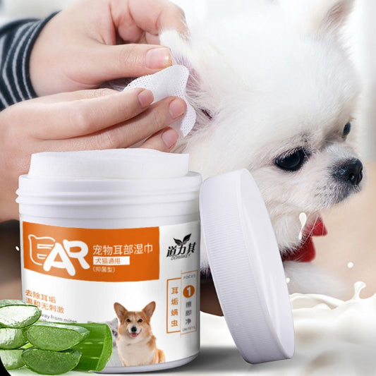 Pet Ear Wipes being used on a small Chihuahua